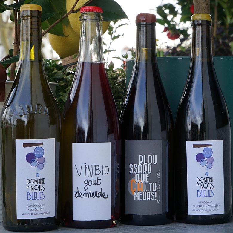 Pinot « Cul du Bray » - Domaine des Notes Bleues