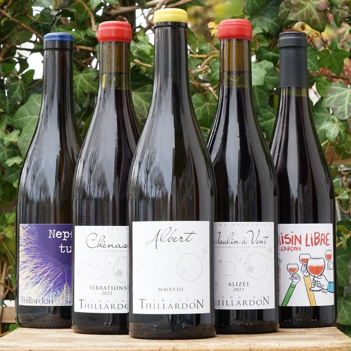 Alizés 2023 - Domaine Thillardon