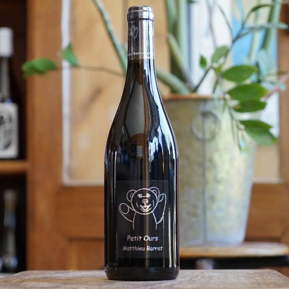 Petit Ours 2023 - Matthieu Barret