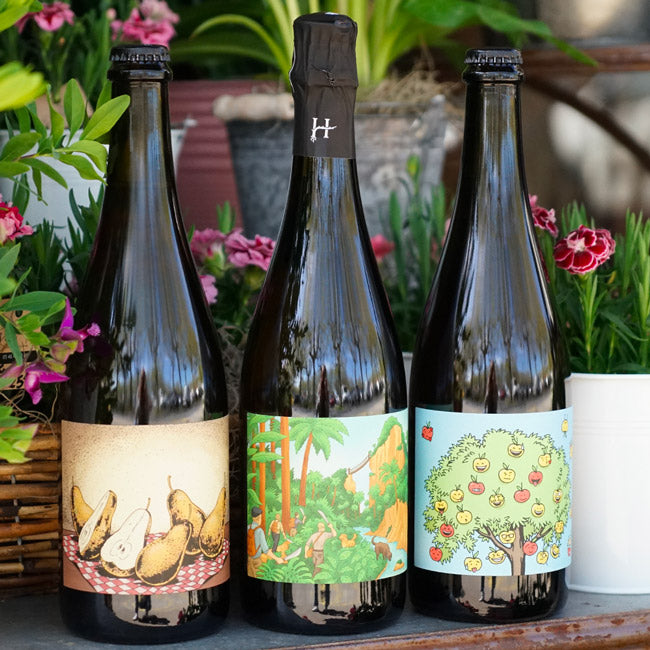 Cidre "Frères de pomme" - Romain Hénin