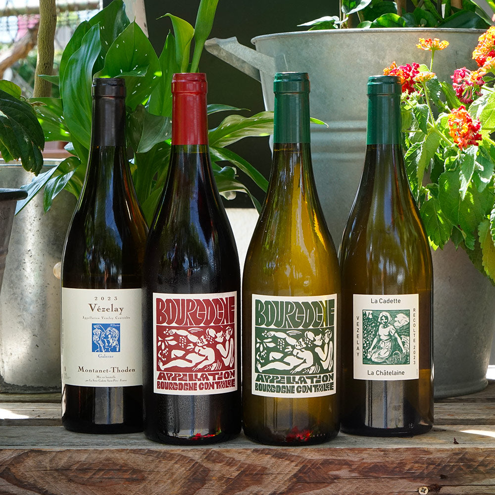 Bourgogne Rouge 2024 - La Soeur Cadette