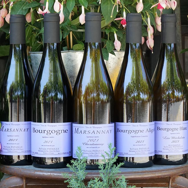 Marsannay blanc 2023 - Sylvain Pataille