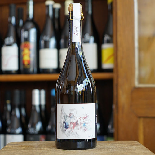 Envol 2019 - Serge & Olivier Horiot