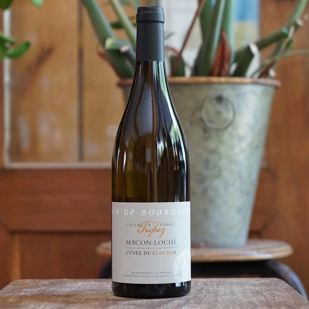 Mâcon Loché "Le Clôcher" 2022 - Domaine Tripoz