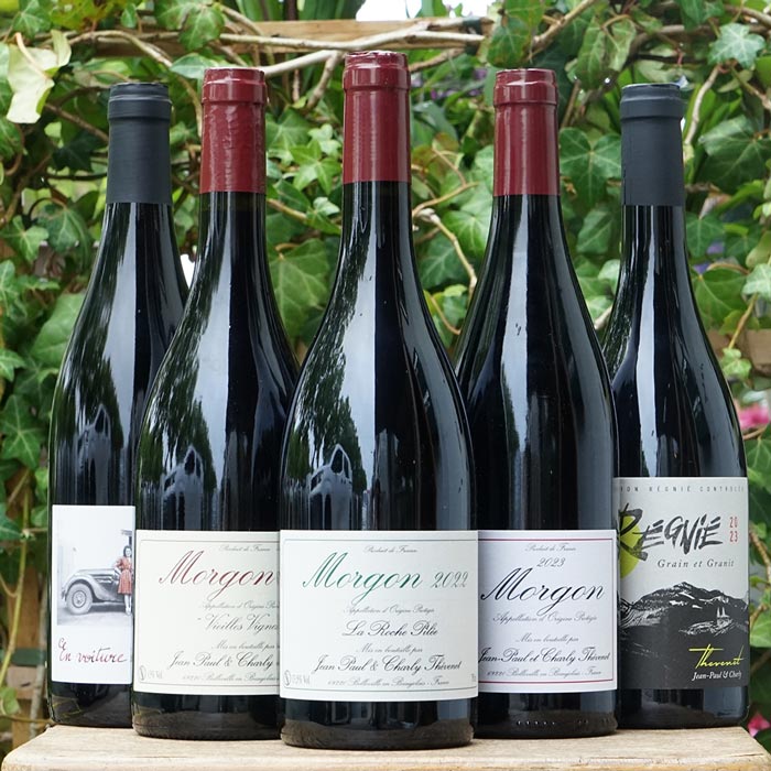 Morgon Vieilles Vignes 2023 - Jean-Paul & Charly Thévenet