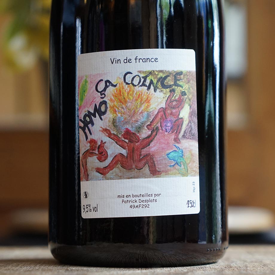 Homo ça coince 2022 Magnum - Patrick Desplats