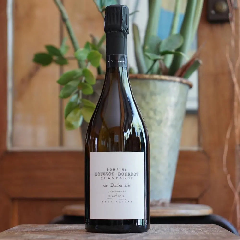 Destins Liés 2021 - Billy Doussot