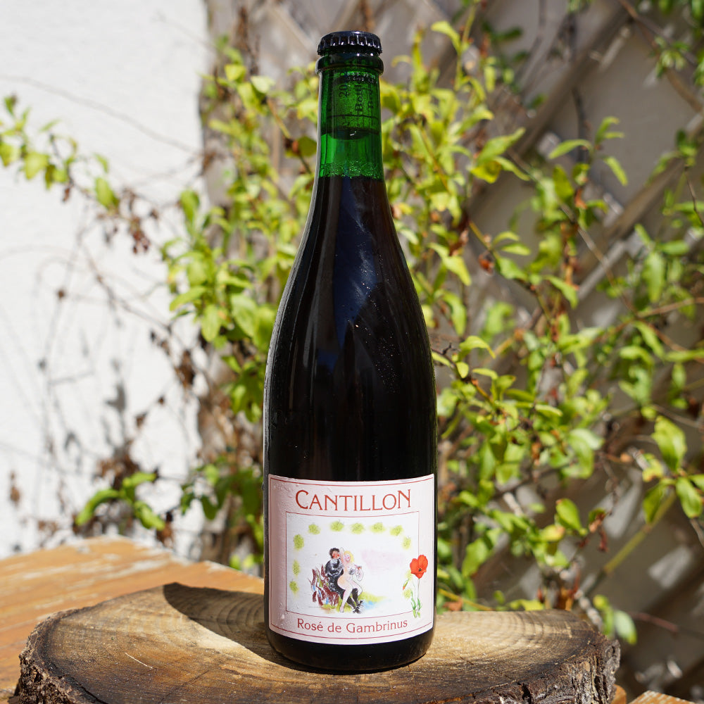 Rose de Gambrinus - Cantillon
