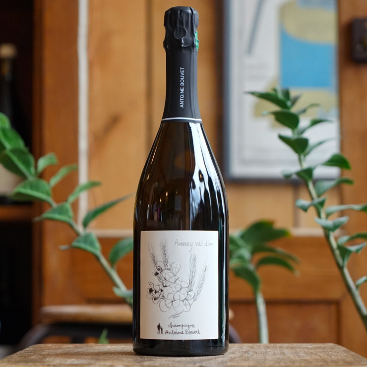 Avenay - Antoine Bouvet