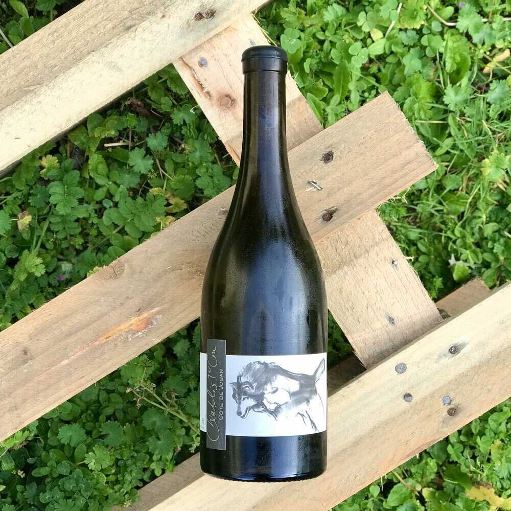 Chablis 1er Cru "Côte de Jouan" - Thomas Pico