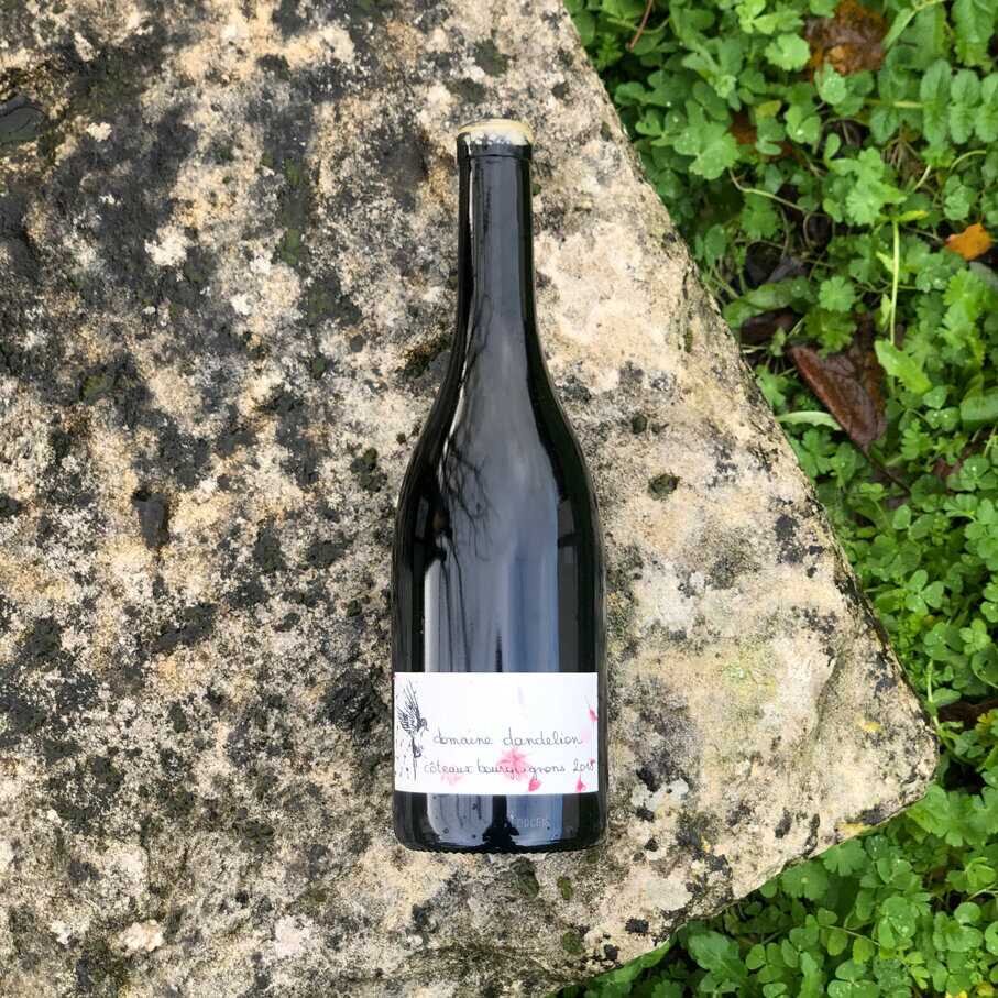 Côteaux Bourguignons 2018 - Domaine Dandelion