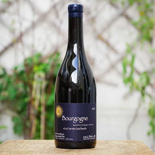 Bourgogne Rouge 2022 - Brice Martin