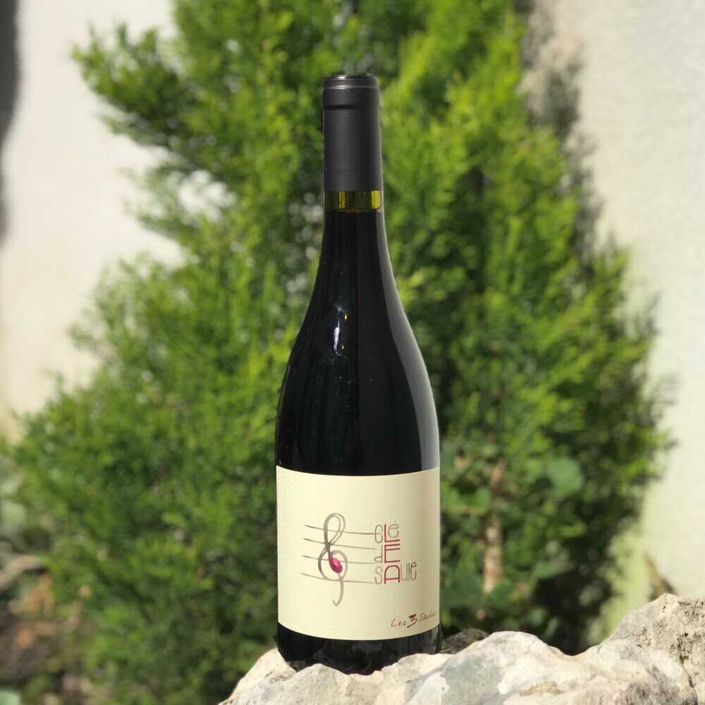 Clé de saule - Domaine des 3 Saules