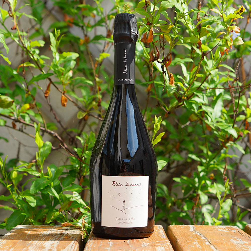Absolue Grès 2019 - Elise Dechannes