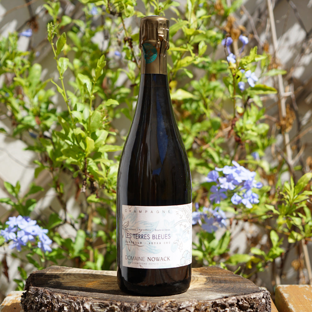 Les Terres Bleues - Champagne Nowack