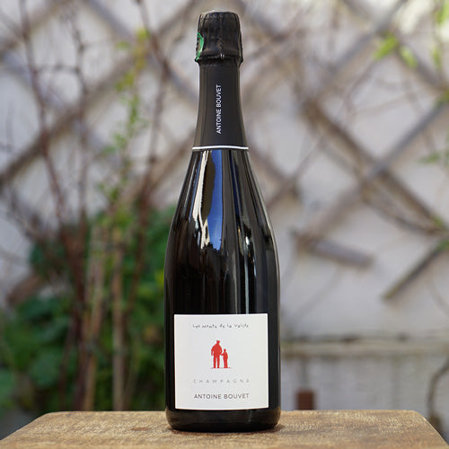 Les Monts de la Vallée Rosé - Antoine Bouvet