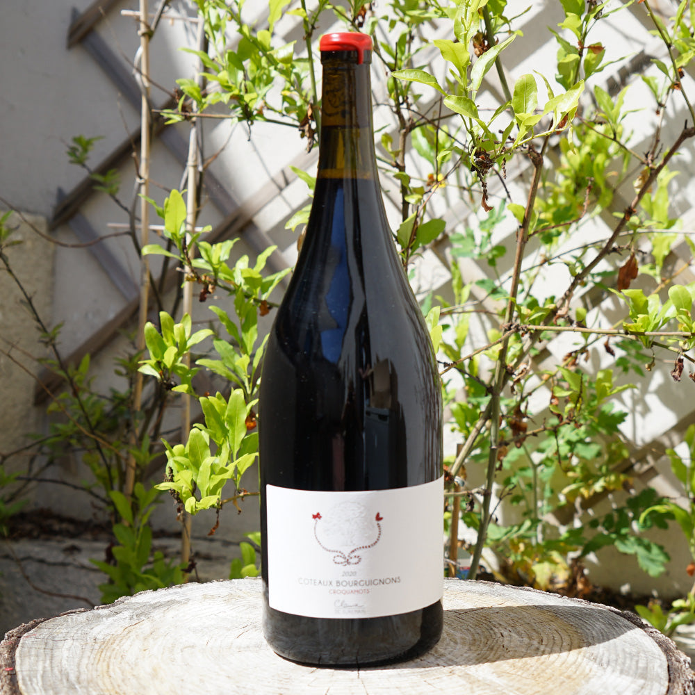Croquamots 2020 Magnum - Clarisse de Suremain