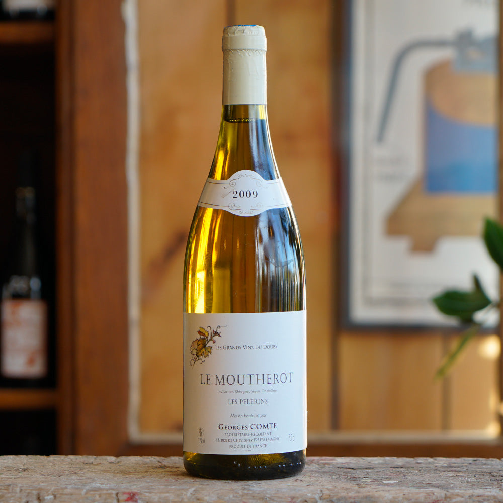 Les Pélerins 2009 - Georges Comte