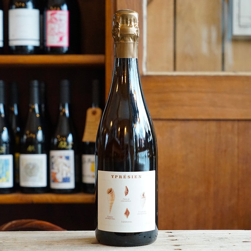 Yprésien - Champagne Legrand-Latour