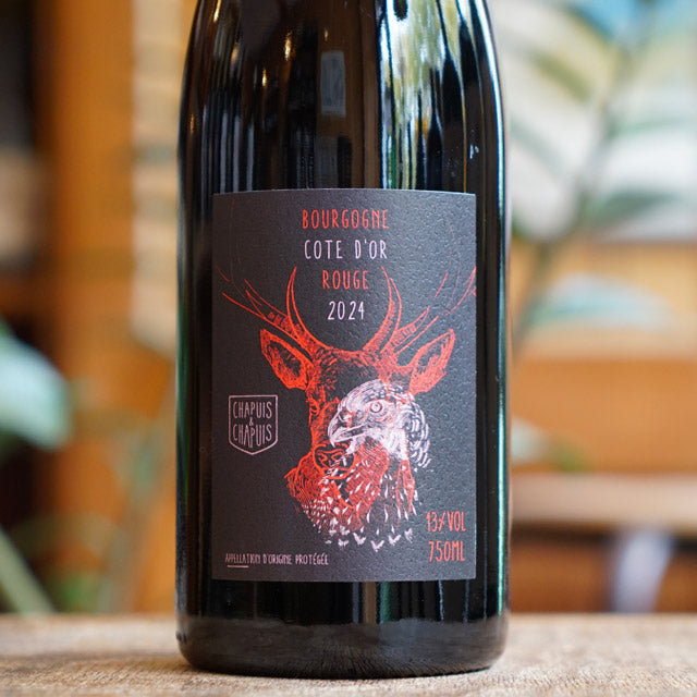 Bourgogne Rouge "Côte d'Or" 2024 - Chapuis & Chapuis
