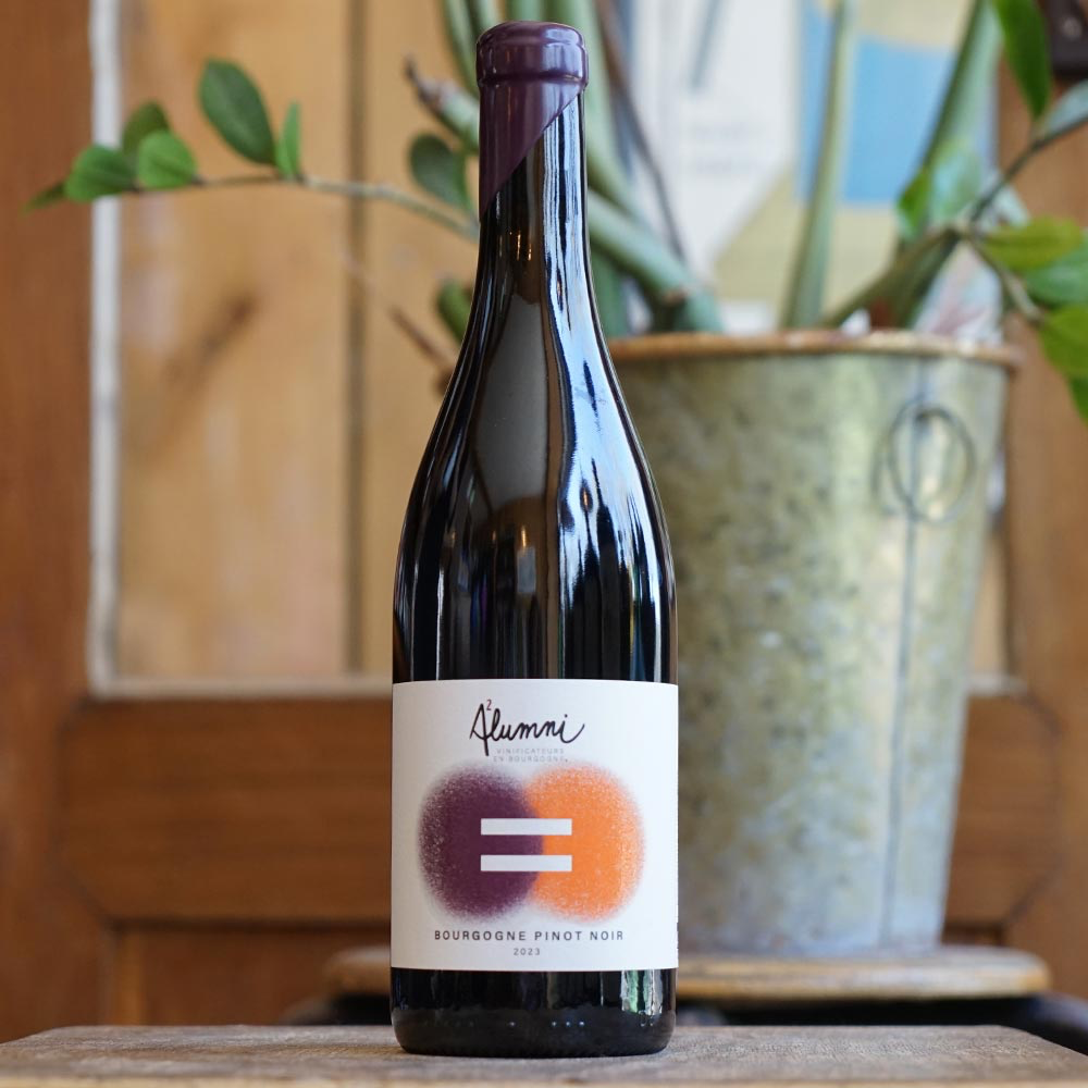 Pinot Noir 2023 - Maison Alumni