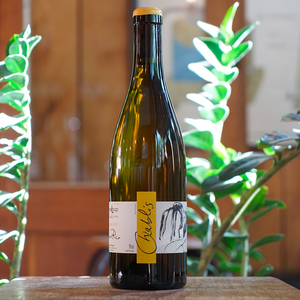 Chablis Mise Tardive 2022 - Thomas Pico