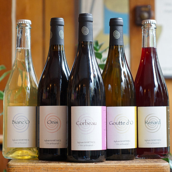 Renard 2023 - Sylvain Martinez