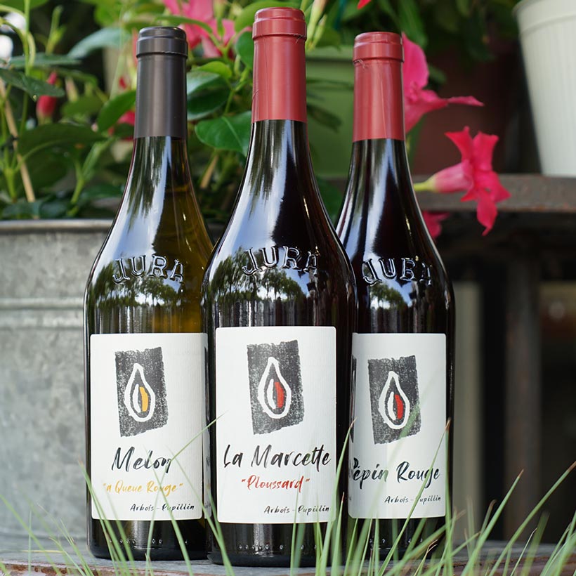 La Marcette 2023 Magnum - Kevin Bouillet