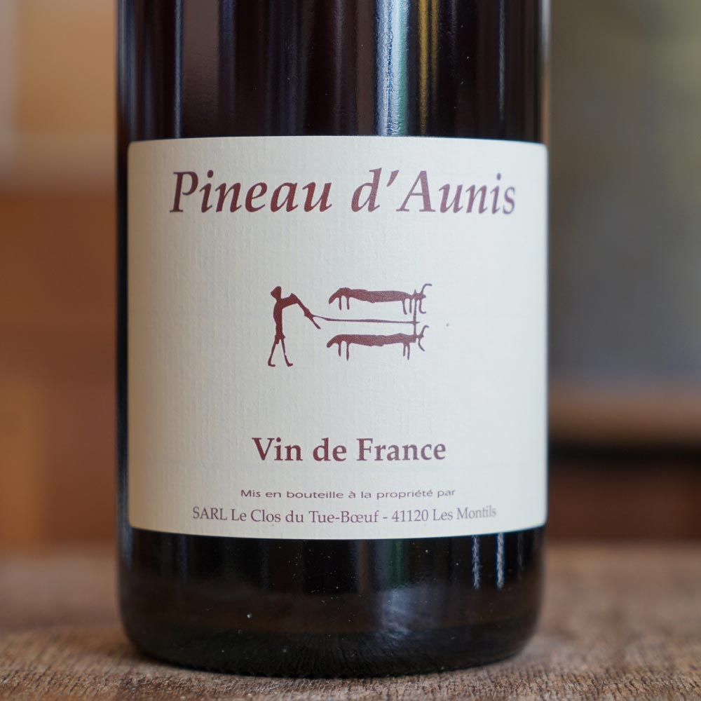 Pineau d'Aunis 2024 - Clos du Tue-Boeuf