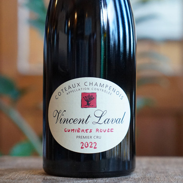 Côteaux Champenois Cumières Rouge 2022 - Georges Laval