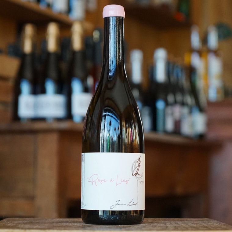 Rose à Lies 2023 - Jessica Litaud