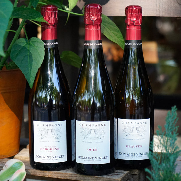Oger Grand Cru 2021 - Domaine Vincey
