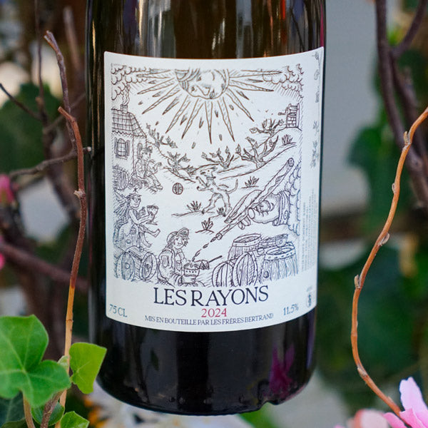 Les Rayons 2024 - Les Frères Bertrand
