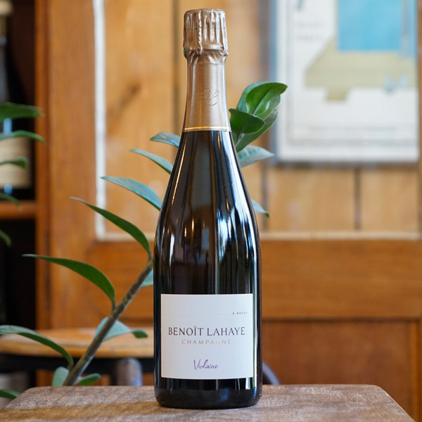 Violaine - Benoît Lahaye - Marée Haute Vins Vivants