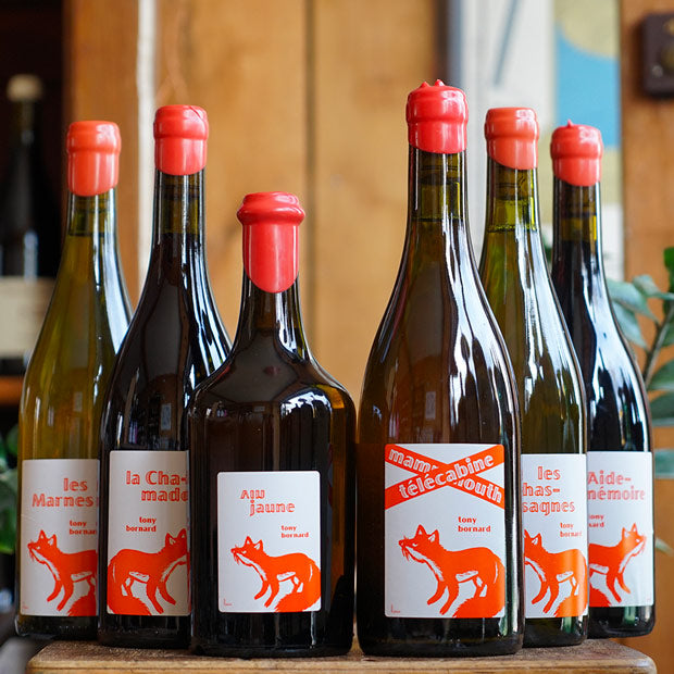 Savagnin "Amphore Mammouth Italien" 2016 - Domaine Bornard