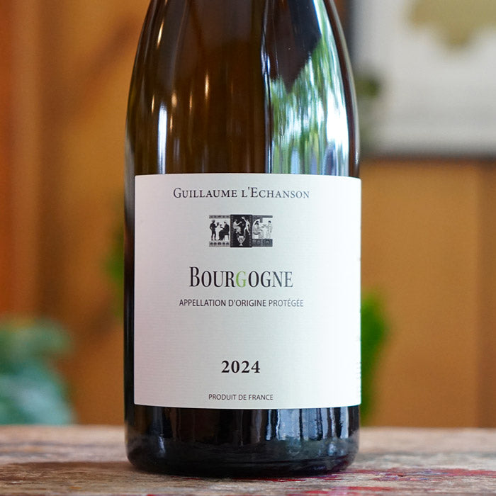 Bourgogne Chardonnay 2024 - Guillaume l'Echanson