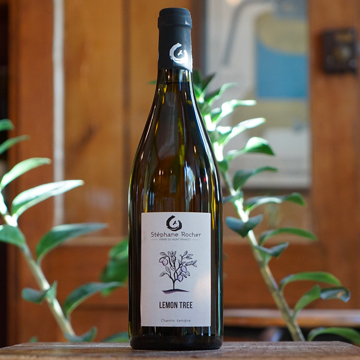 Lemon Tree 2024 - La Ferme de Mont Benault