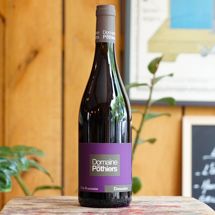 Domaine Rouge 2023 - Domaine des Pothiers