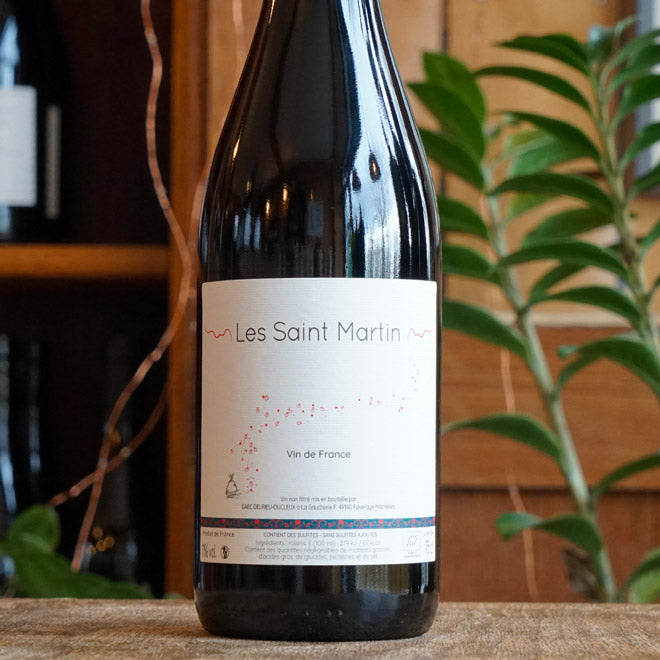 Les Saint-Martin 2024 - Julien Delrieu