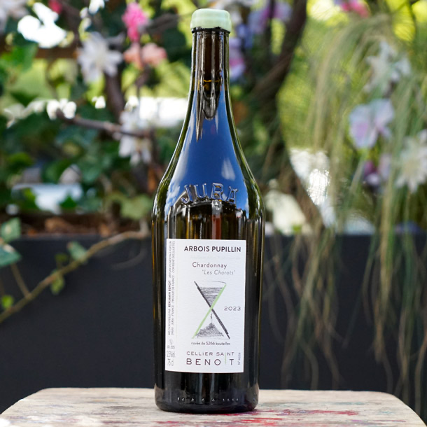 Chardonnay "Les Charots" 2023 - Cellier Saint Benoit
