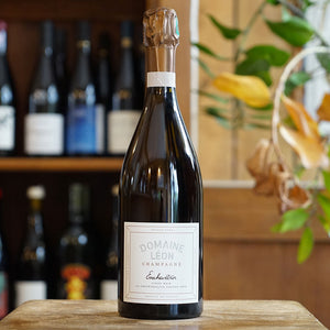 Enchevêtrer R22 Magnum - Domaine Léon