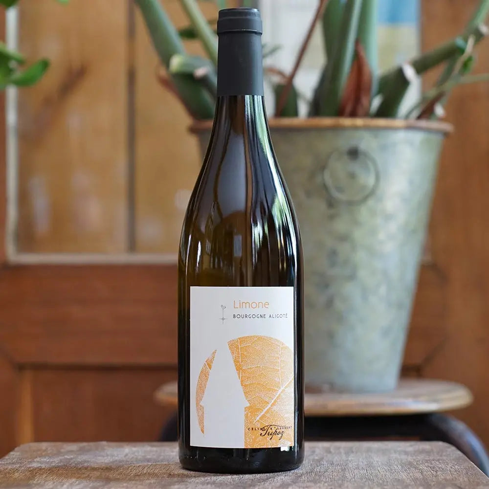 Bourgogne Aligoté "Limone" 2023 - Domaine Tripoz