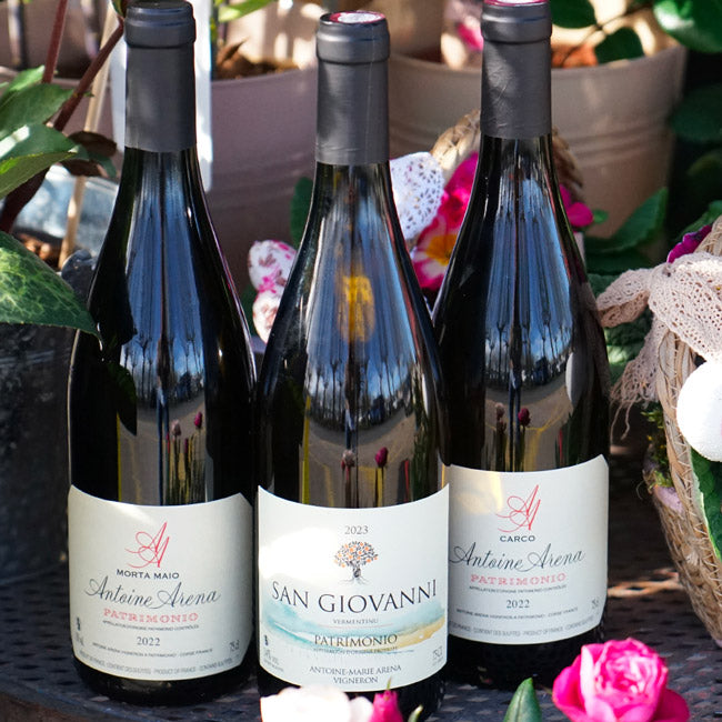 Carco Blanc 2022 - Antoine Arena