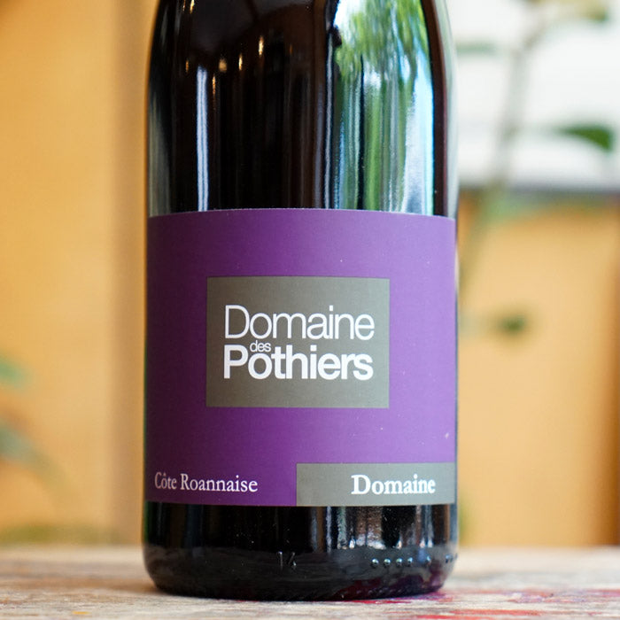 Domaine Rouge 2023 - Domaine des Pothiers