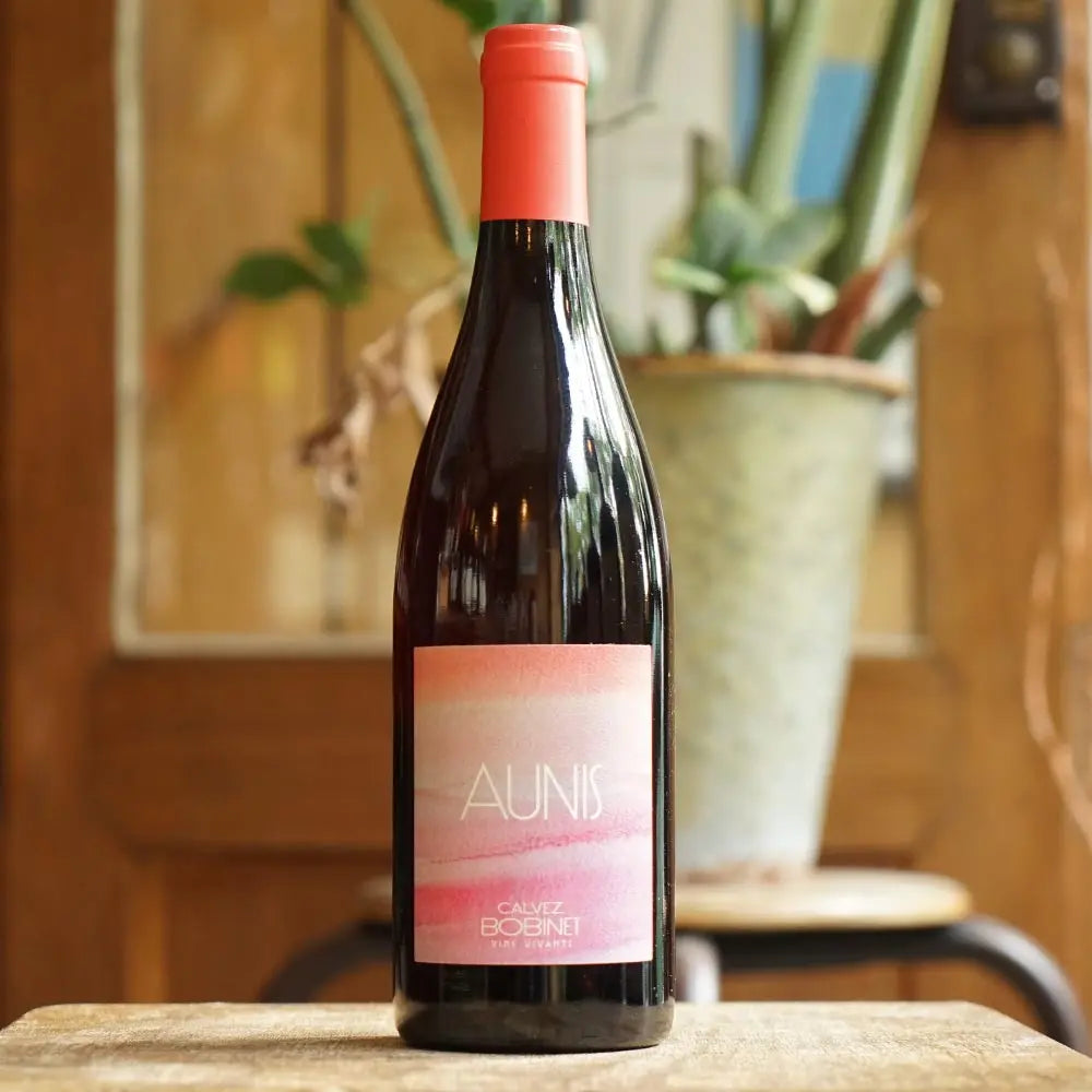 Aunis 2024 - Domaine Bobinet