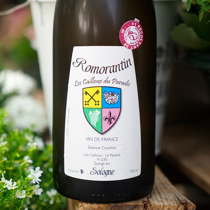 Romorantin 2022 - Les Cailloux du Paradis