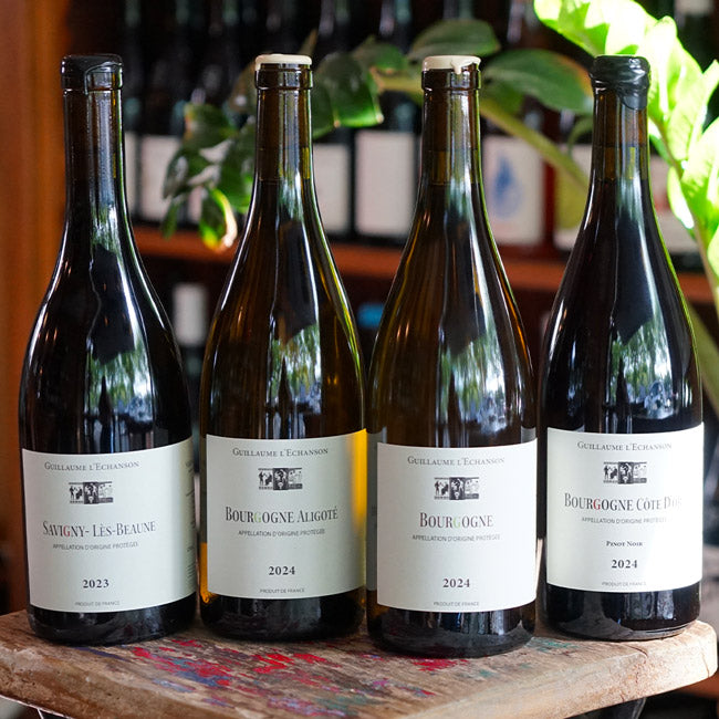 Bourgogne Chardonnay 2024 - Guillaume l'Echanson