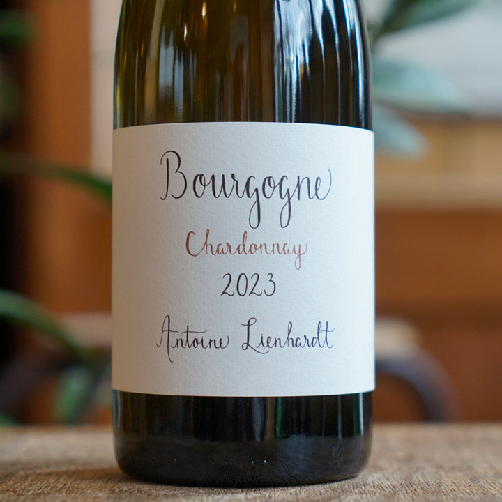 Bourgogne Blanc 2023 - Antoine Lienhardt