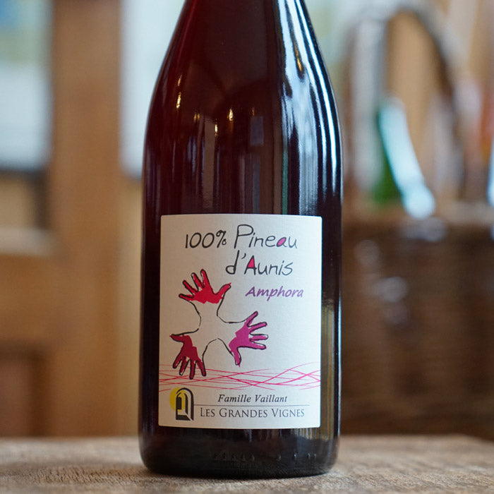 Pineau d'Aunis Amphora 2024 - Les Grandes Vignes