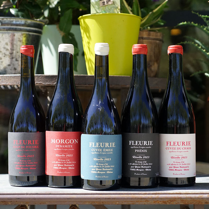 Fleurie Cuvée Emile 2023 - Yann Bertrand